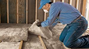 Best Attic Insulation Installation  in Randallstown, MD